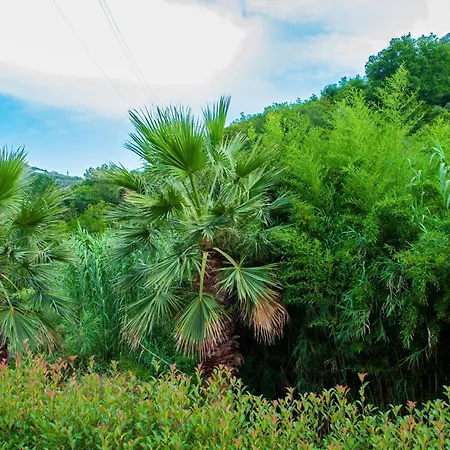 ヴィラ Casa Due Ulivi