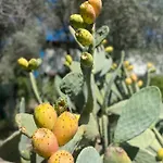 Casa Due Ulivi Σπίτι διακοπών *